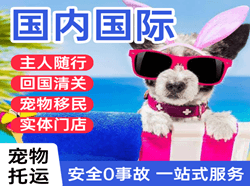 太平机场货运国际宠物托运 【国